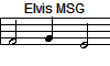 Elvis MSG